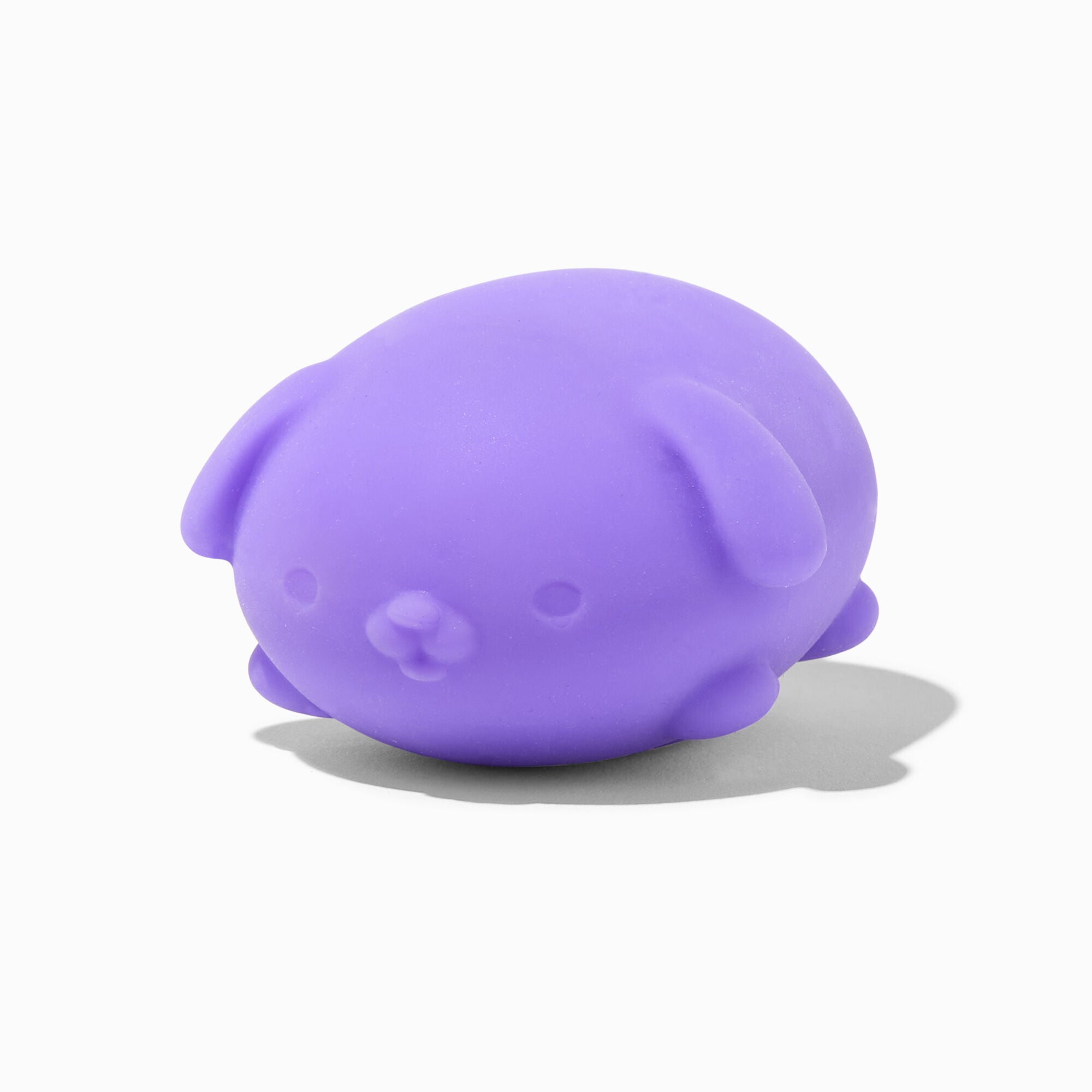 Schylling® NeeDoh™ Funky Pup Fidget Toy - Blind Box,